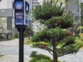 충주 신도시 삼일파라뷰 그랜드 센트럴 아파트 미세먼지 신호등 설치